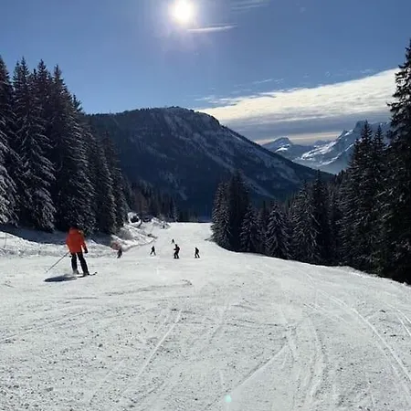 Pom Pom, 3 Bedroom Apt With Stunning Mountain Views-Samoens Exterior photo